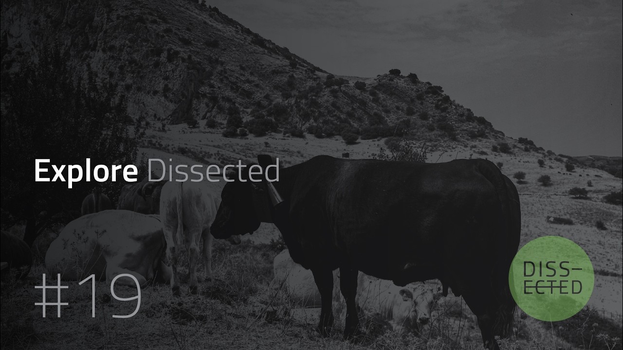 Explore Dissected - part nineteen