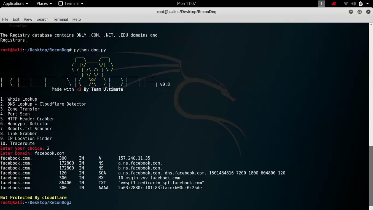 Kali Linux   ReconDog