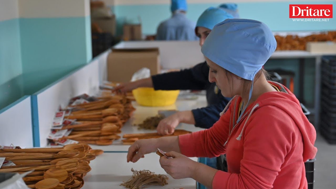 Fabrika në Kamzë ku prodhohen aksesorët e kuzhinës për markat më me emër në botë!