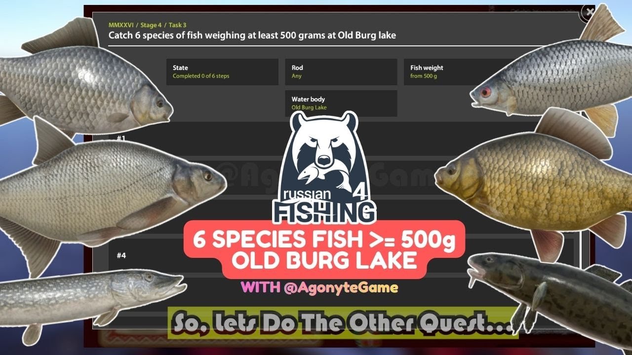 CATCH 6 SPECIES FISH AT LEAST 500g - OLD BURG LAKE! [RUSSIAN FISHING 4]
