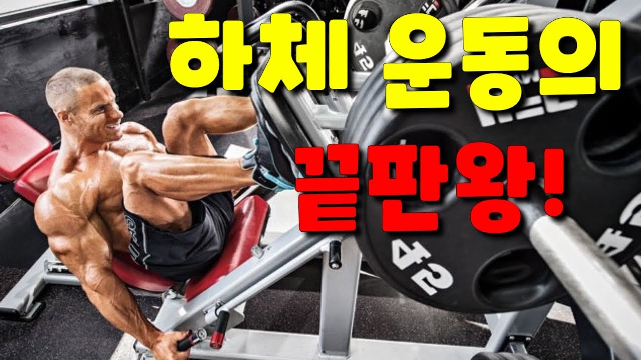 레그프레스(Leg Press)이 영상 하나면 됩니다!-하체운동,다리운동