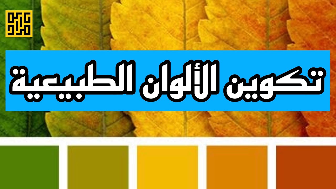 تكوين الألوان الطبيعية / مراد درويش