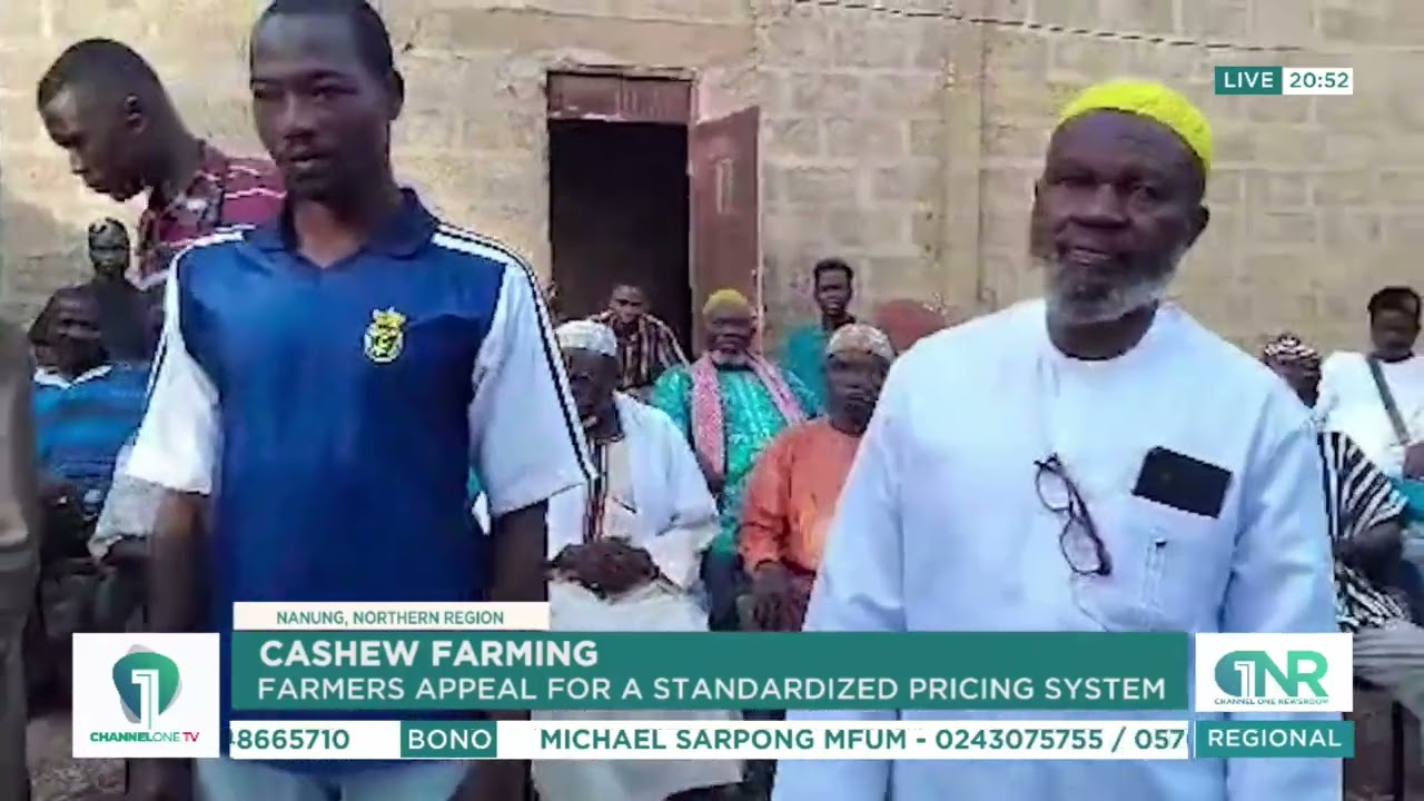 Cashew Farmers Call for Fair, Standardized Pricing Across Ghana – Here’s Why It Matters