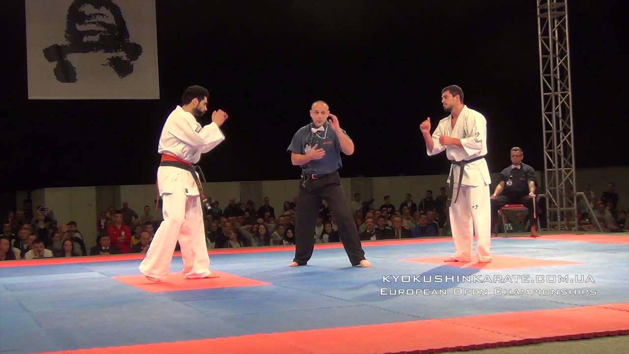 EC Open 2015  Eldar Ismailov (Ukraine) - Alireza Shams (Germany, aka)