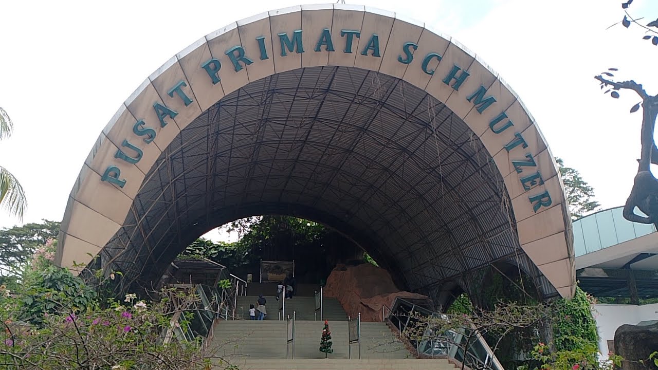 PART 2 | KELILING RUMAH ORANG UTAN |  PUSAT PRIMATA SCHMUTZER | RAGUNAN ZOO 2025 