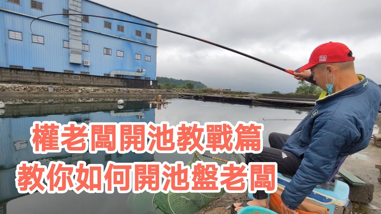 【福壽魚之章】權老闆之開池教戰篇，趕緊來學習了！！！