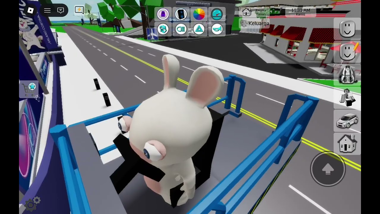 Rabbit jatoh dari mobil ketinggian 