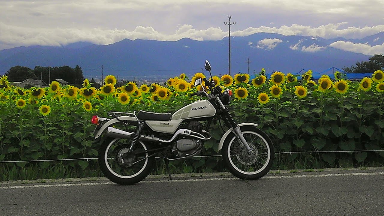 Honda Silk-road CT250S Super Low Gear 102 [売約済み]