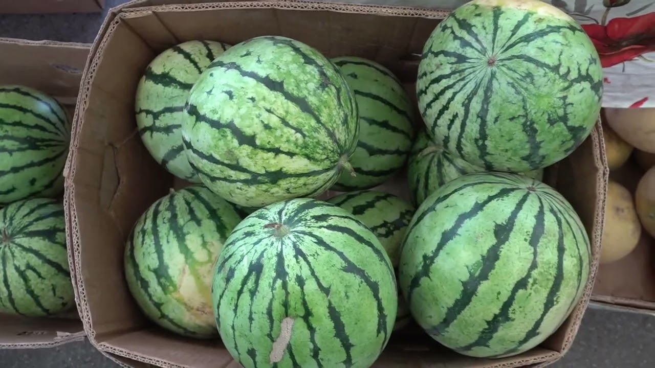 2024.07.13. Rengeteg friss gyümölcs és zöldség a piacon