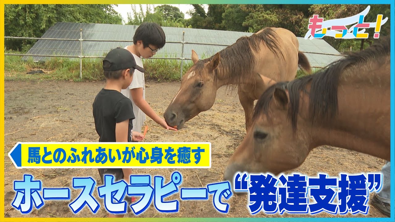 ホースセラピーで発達支援　馬との触れ合い通じて心と身体を癒す　大分市庄の原 “ぶらぼぅの家”