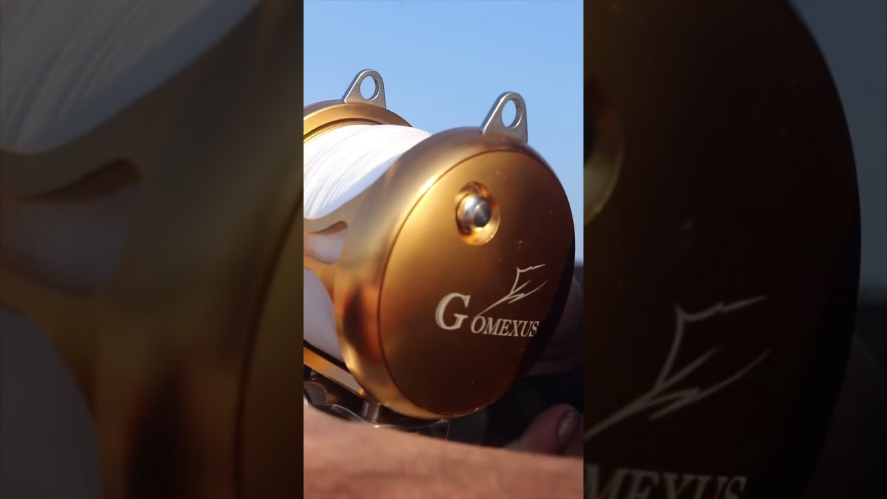 Gomexus RA600 for landbased shark fishing 