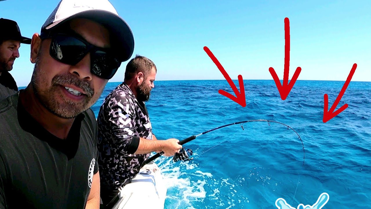 This FISH is too BIG for my bag! CATCH COOK or NON COOK?