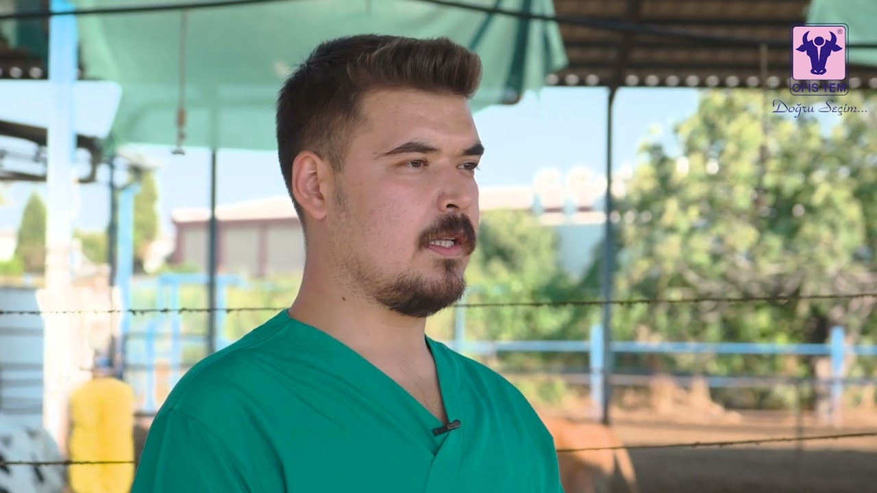Mastisis Hakkında Önemli Bilgiler
