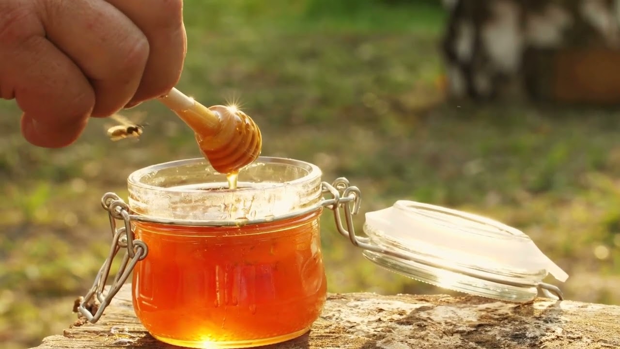 Bee Conservation