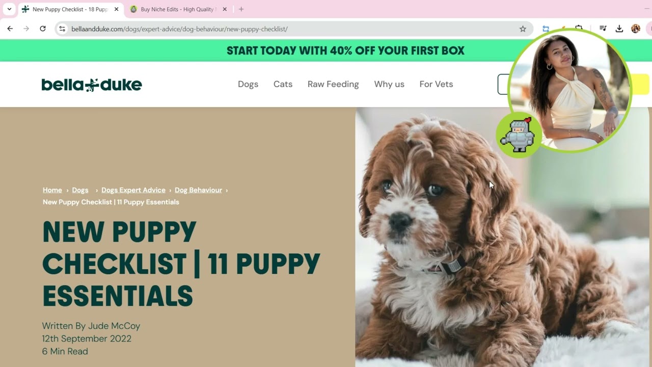 Niche Edit Backlinks: What They Are & How to Use Them in Modern SEO