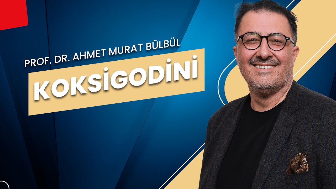 Koksigodini | Sendromsuz Pazartesi Sohbetleri