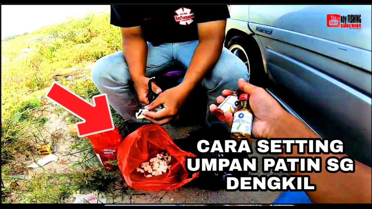 Umpan roti killer PATIN SG LANGAT DENGKIL!!!! GASAK!!!!!