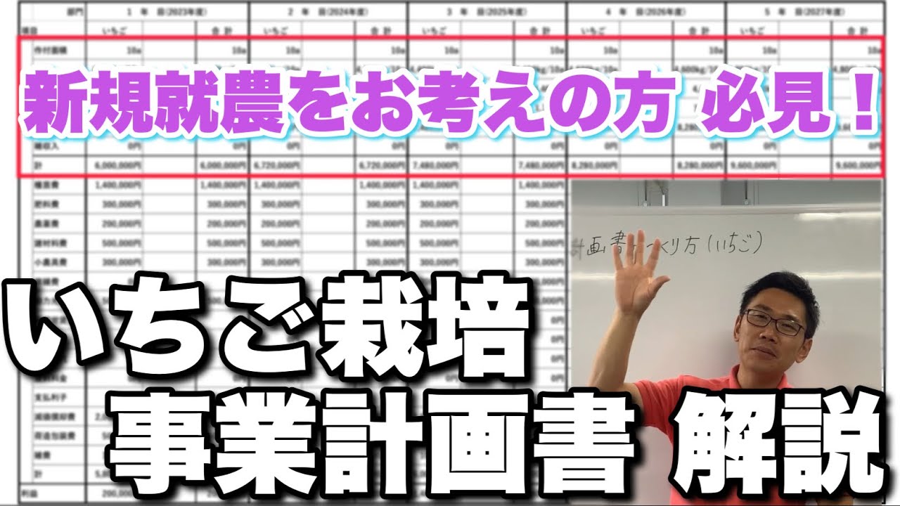 【新規就農】いちご栽培 事業計画書 解説します【いちご農家になりたい方へ】