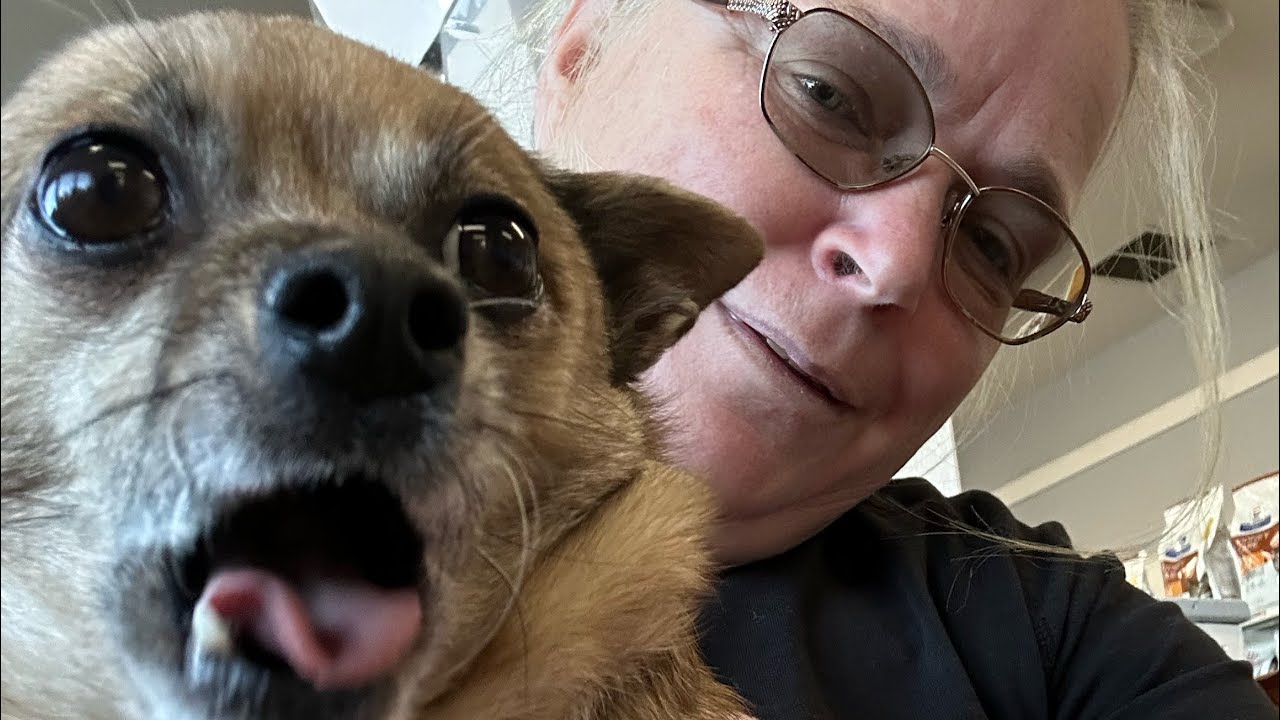 Cloe Gets Shots!!! #dogs #vet #animal care