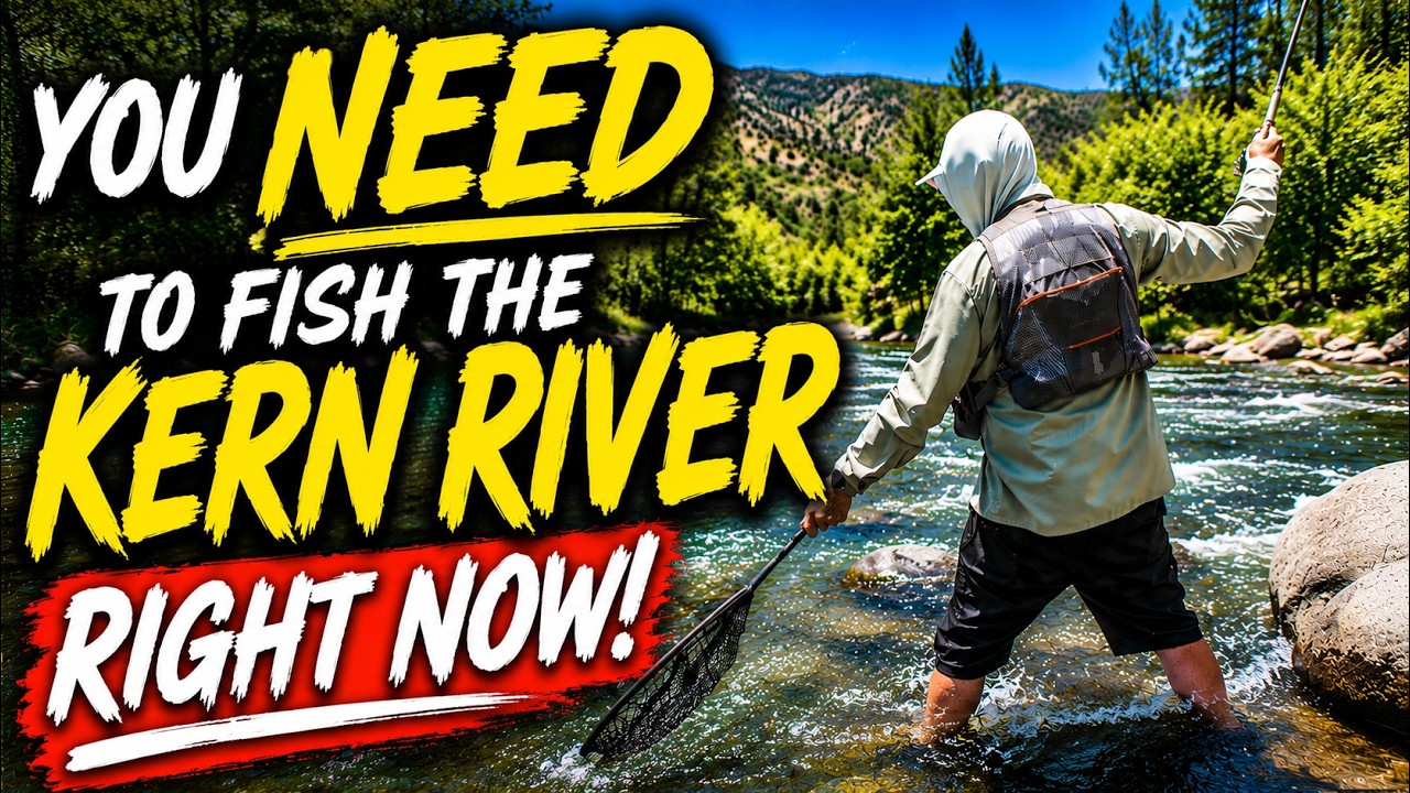The Versatile Dry Dropper Every Angler Needs