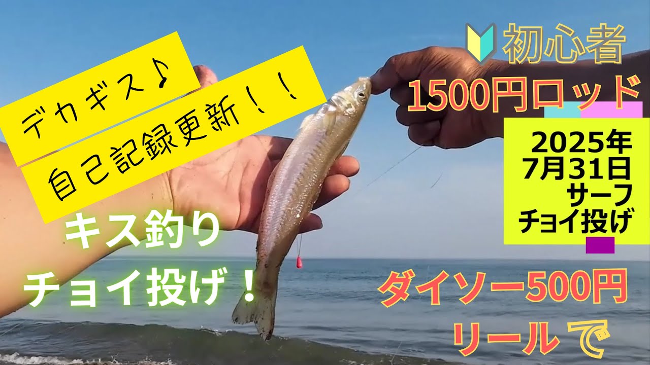【自己記録更新】【デカギス】20250731 北陸（富山石川福井)チョイ投げ　キス釣り【🔰初心者】【1500円ロッドと500円リール】