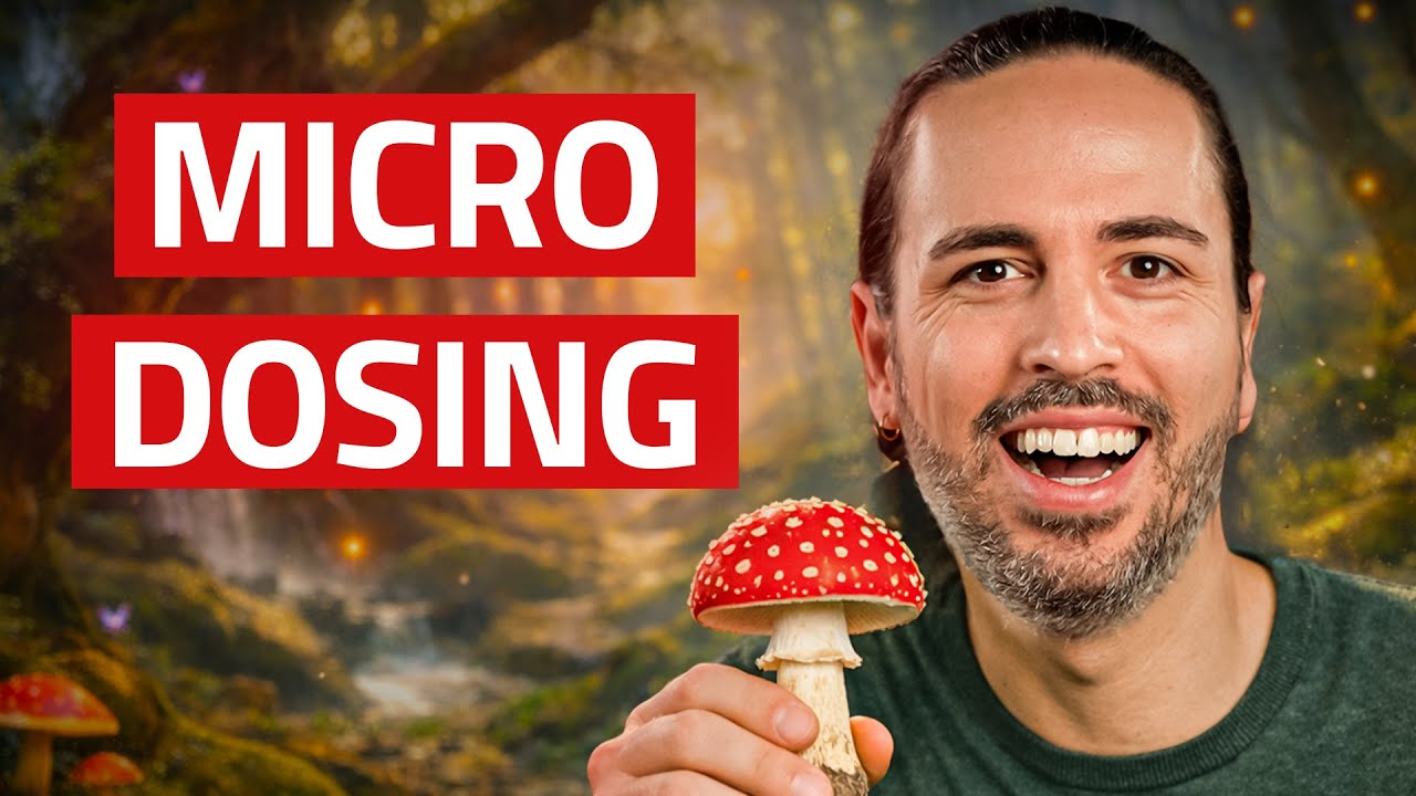 Microdosing mit Fliegenpilz: Was die Wissenschaft wirklich weiß