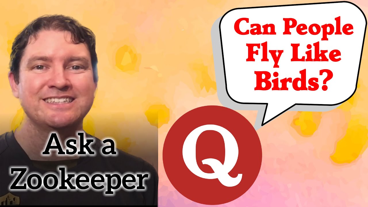 Can People Fly Like Birds? - Ask A Zookeeper 9