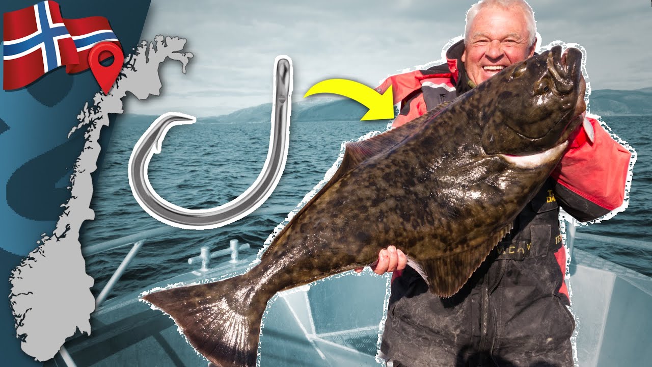 Mit Circle Hook auf Heilbutt - so fängt sie Horst Hennings in Norwegen 🇳🇴