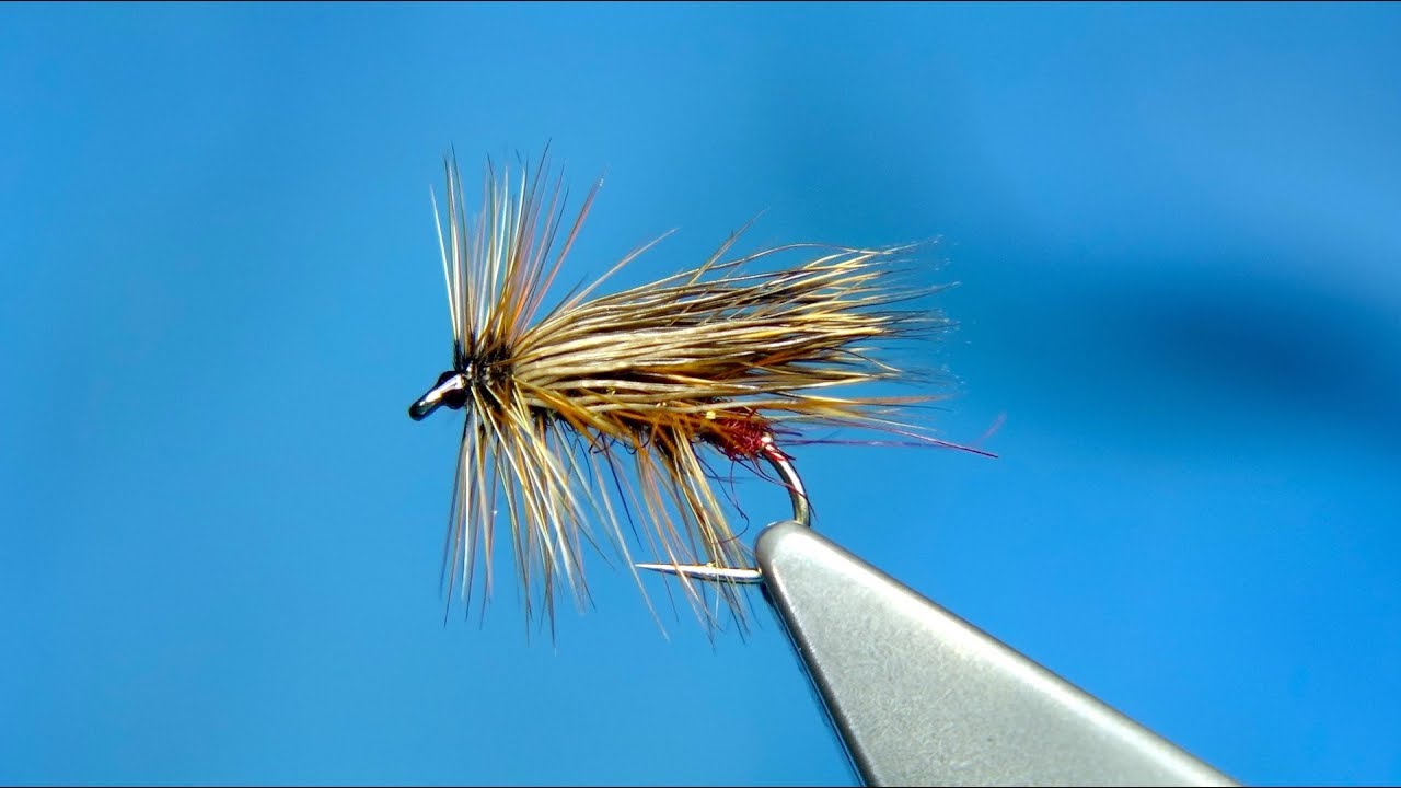 Tying a Dark Claret Peter Sedge with Davie McPhail