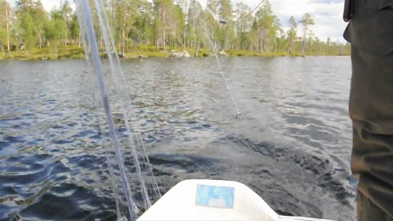 Siikaverkoilla Inarissa