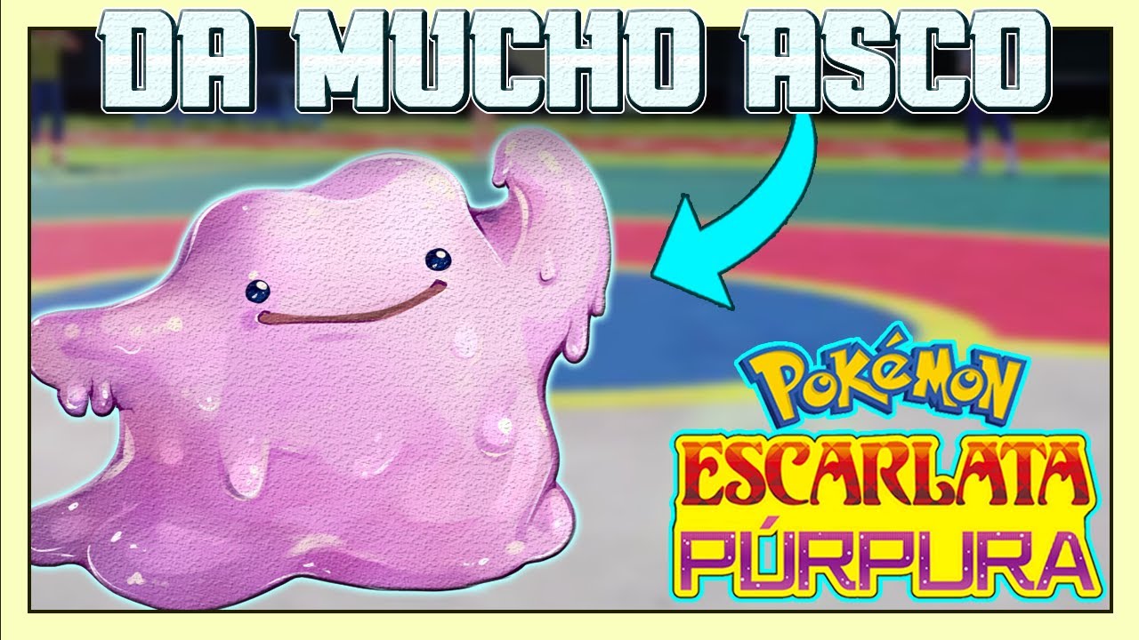 POR ESTO DITTO DA ASCO en POKÉMON COMPETITIVO en un COMBATE con POKÉMON de 