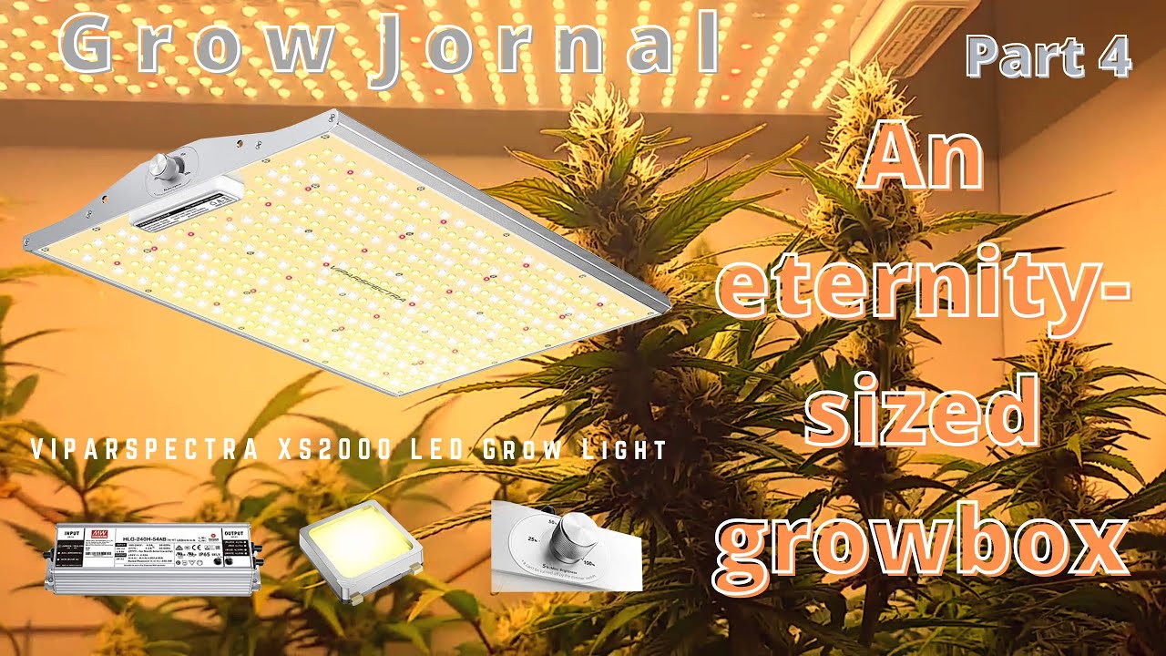 Grow Jornal. Part 4. &laquo;ViparSpectra&raquo;, &laquo;XS Series&raquo;, &laquo;LED Grow Light&raquo;. XS2000