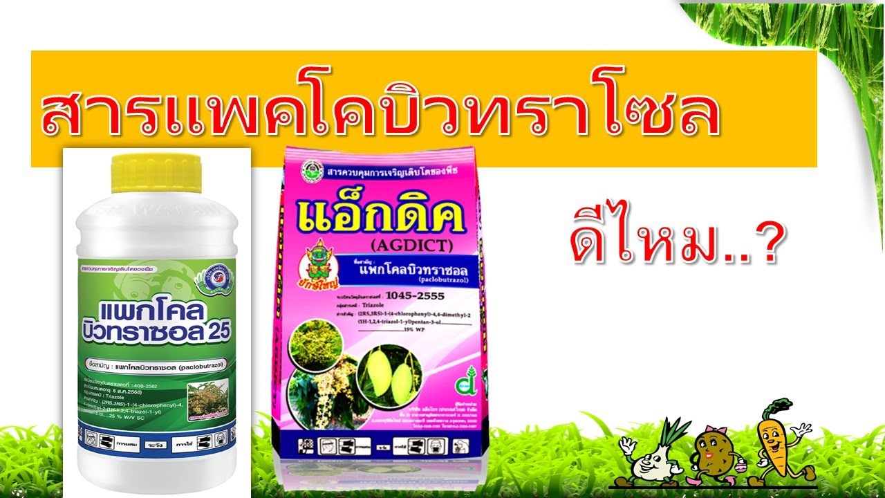 สารแพคโคบิวทราโซล(Paclobutrazol; PBZ).....(สารทำผลไม้นอกฤดู)