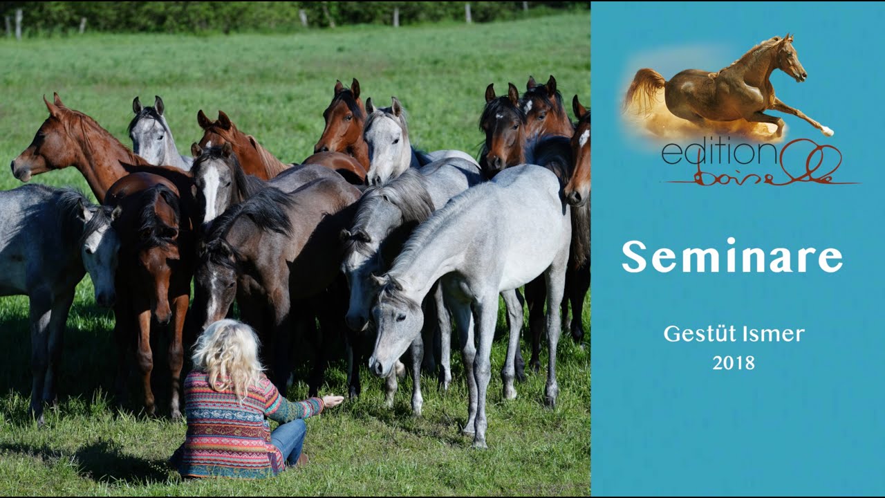Fotoseminar im Gest&uuml;t Ismer 2018 - Aus Liebe zu den arabischen Pferden