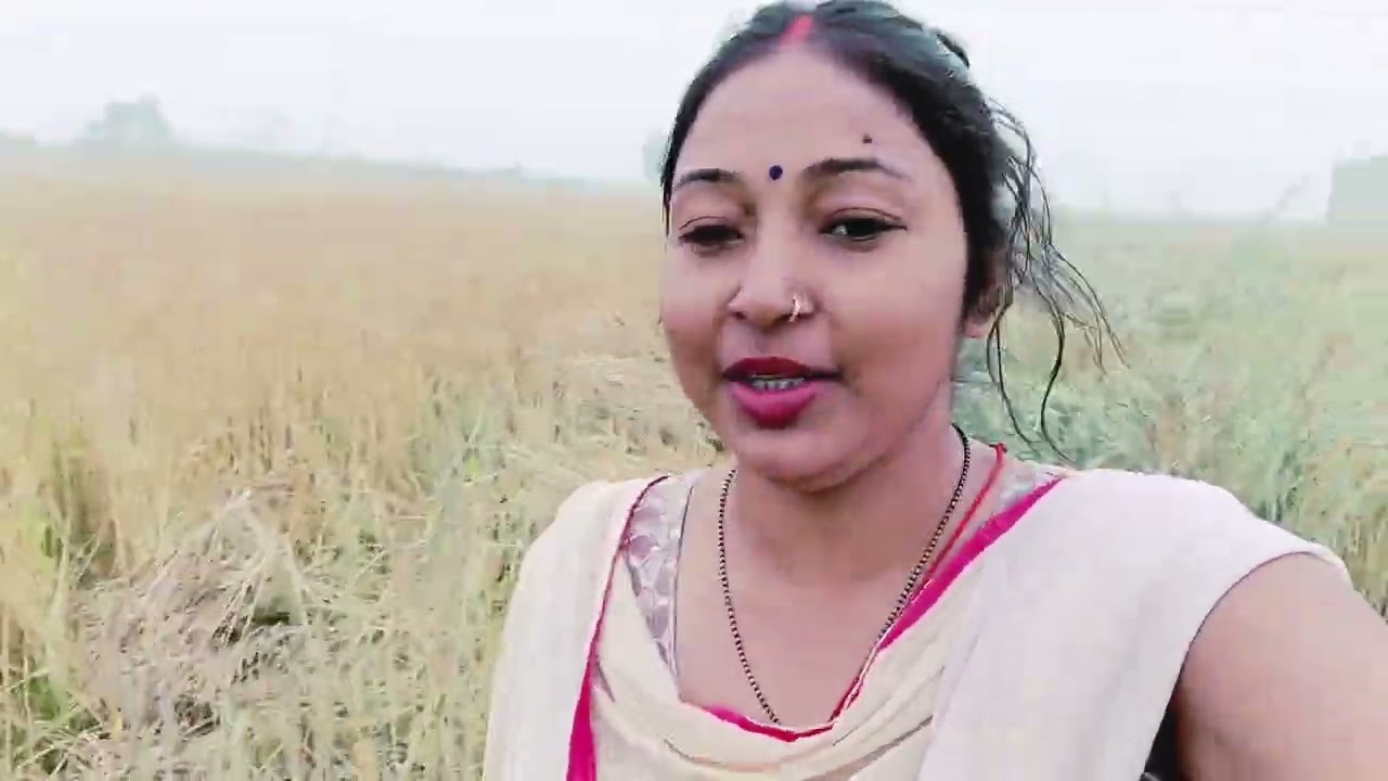 ..🤗🌾Khet mein chhupa kar 🤫🤔 bhul gai🙁