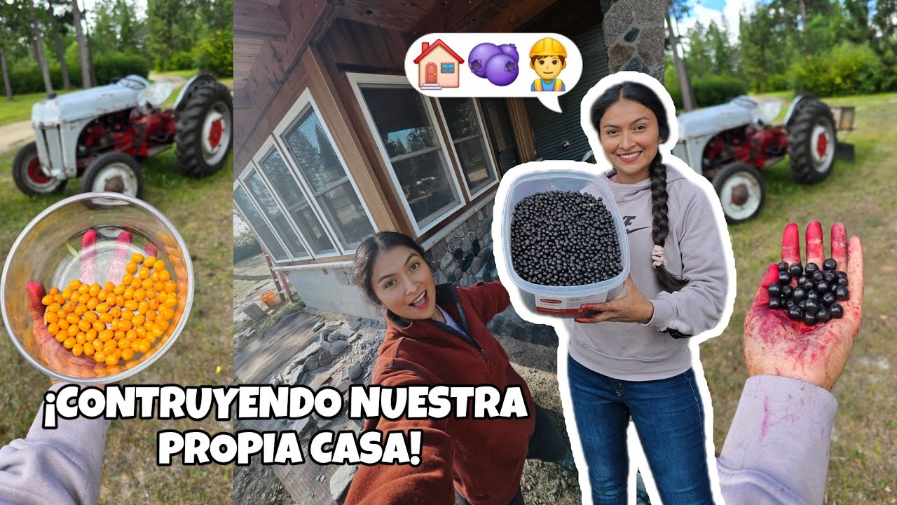 FRUTAS EXOTICAS😱🫐| Construyendo Nuestra procia CASA 🏠👷‍♂️😱