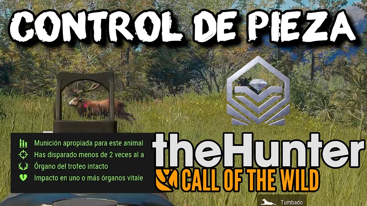 🟢CONTROL DE PIEZA Y ANIMALES DE M&Aacute;XIMA PUNTUACI&Oacute;N🟢 | TUTORIAL #2 THE HUNTER CALL OF THE WILD