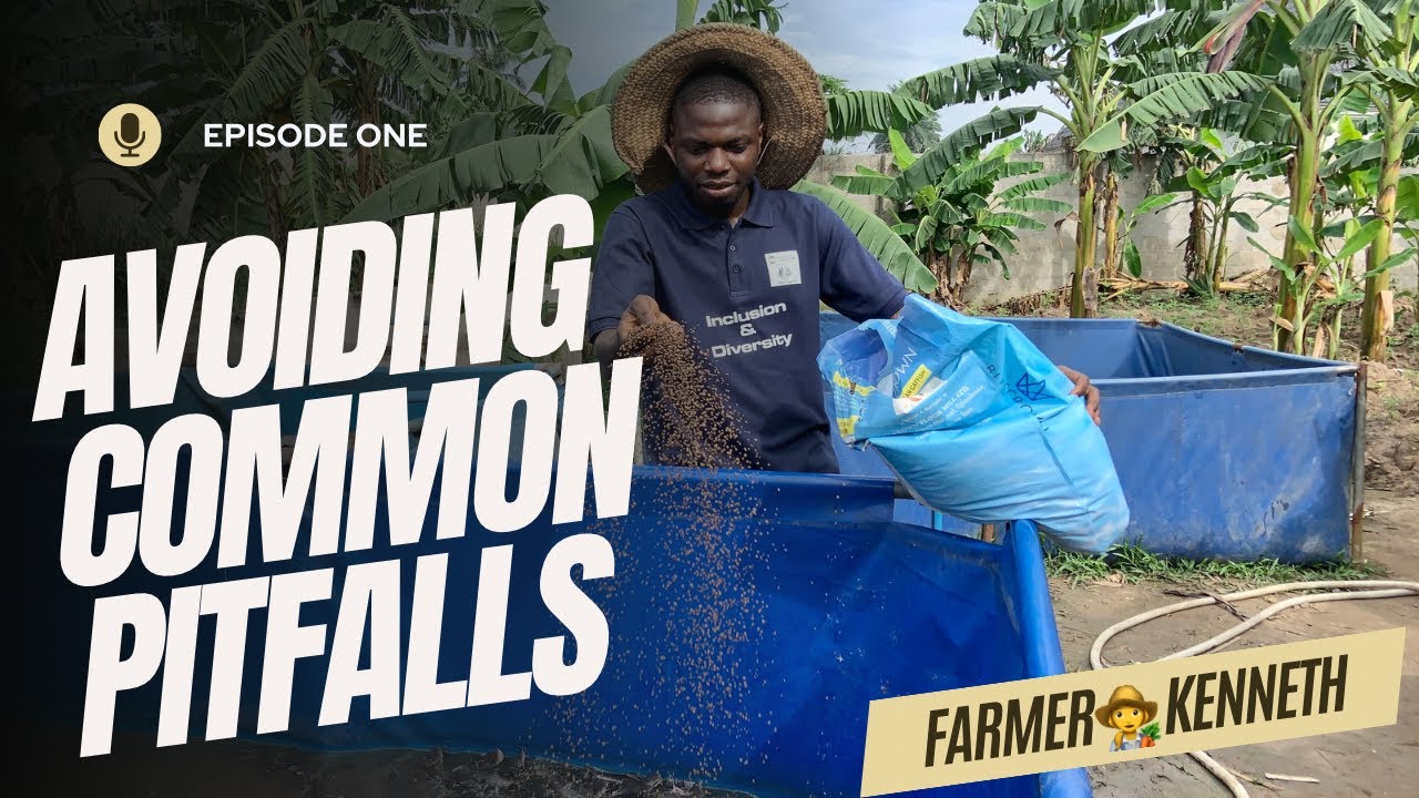 Catfish Farming Success: Episode 1 - Avoiding Common Pitfalls