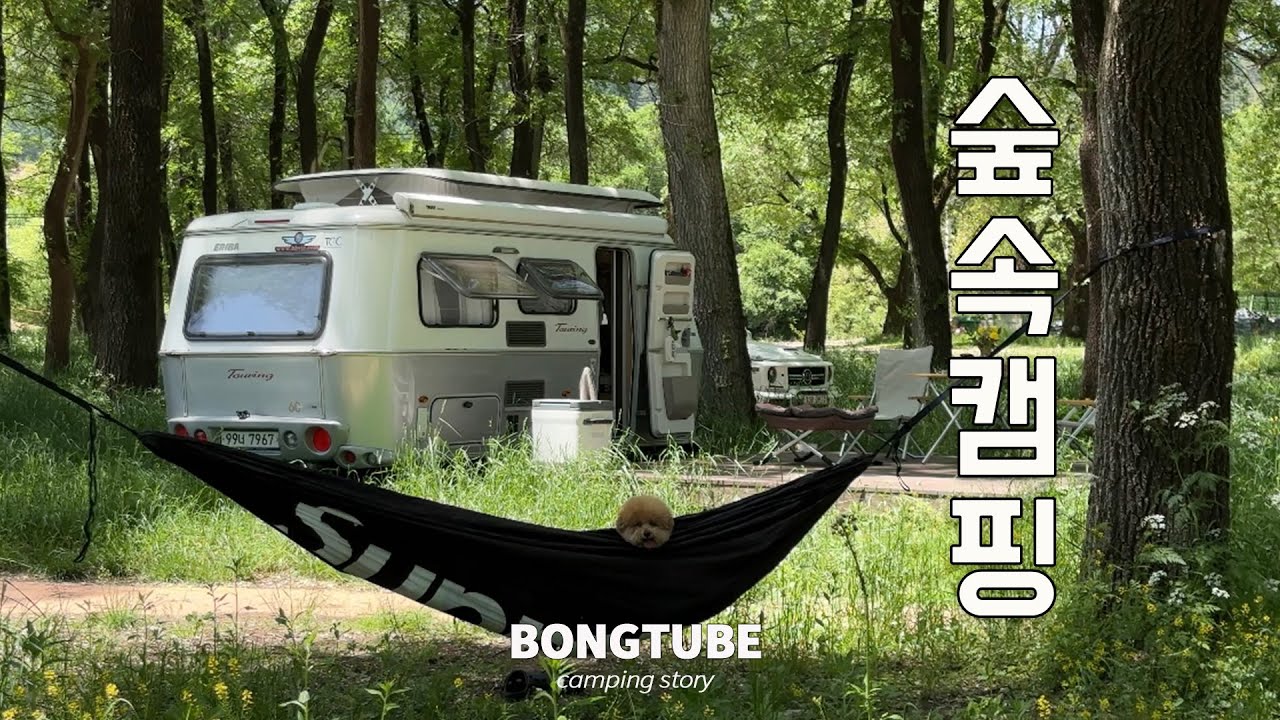 49) 1년만에 다시 온 숲속캠핑🌿 - 노지캠핑, 애견동반캠핑, 카라반캠핑, 에리바투어링530(eriba touring530)