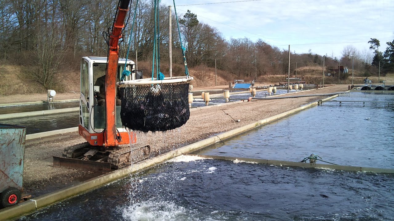 Aquaculture - A Danish Model