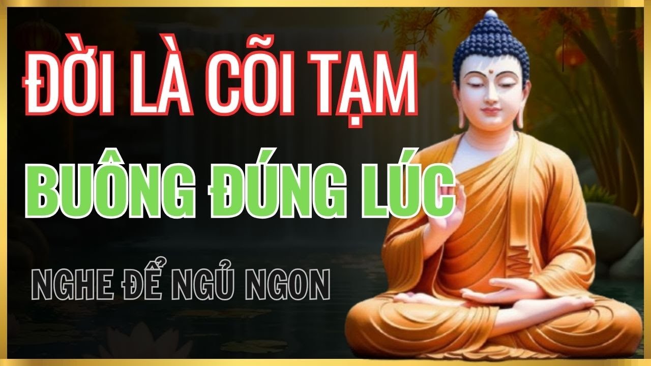 Nghe Lời Đức Phật Trước Khi Ngủ: Khổ Không Phải Vì Thiếu – Mà Vì Không Chịu Buông .