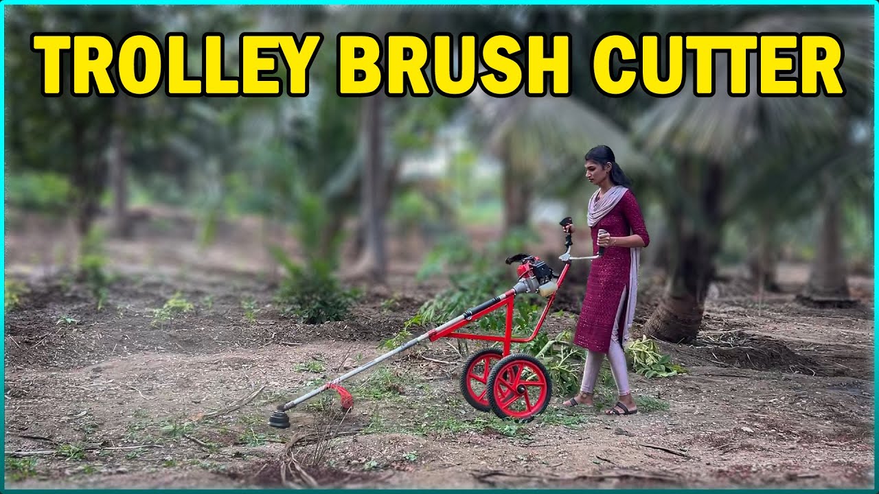 Trolley Brush Cutter Machine