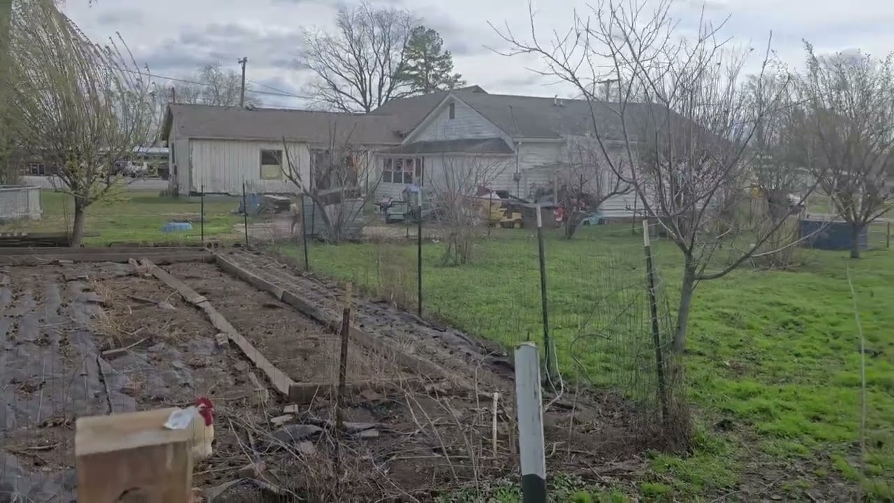 Fruit Trees and hard freeze is coming!