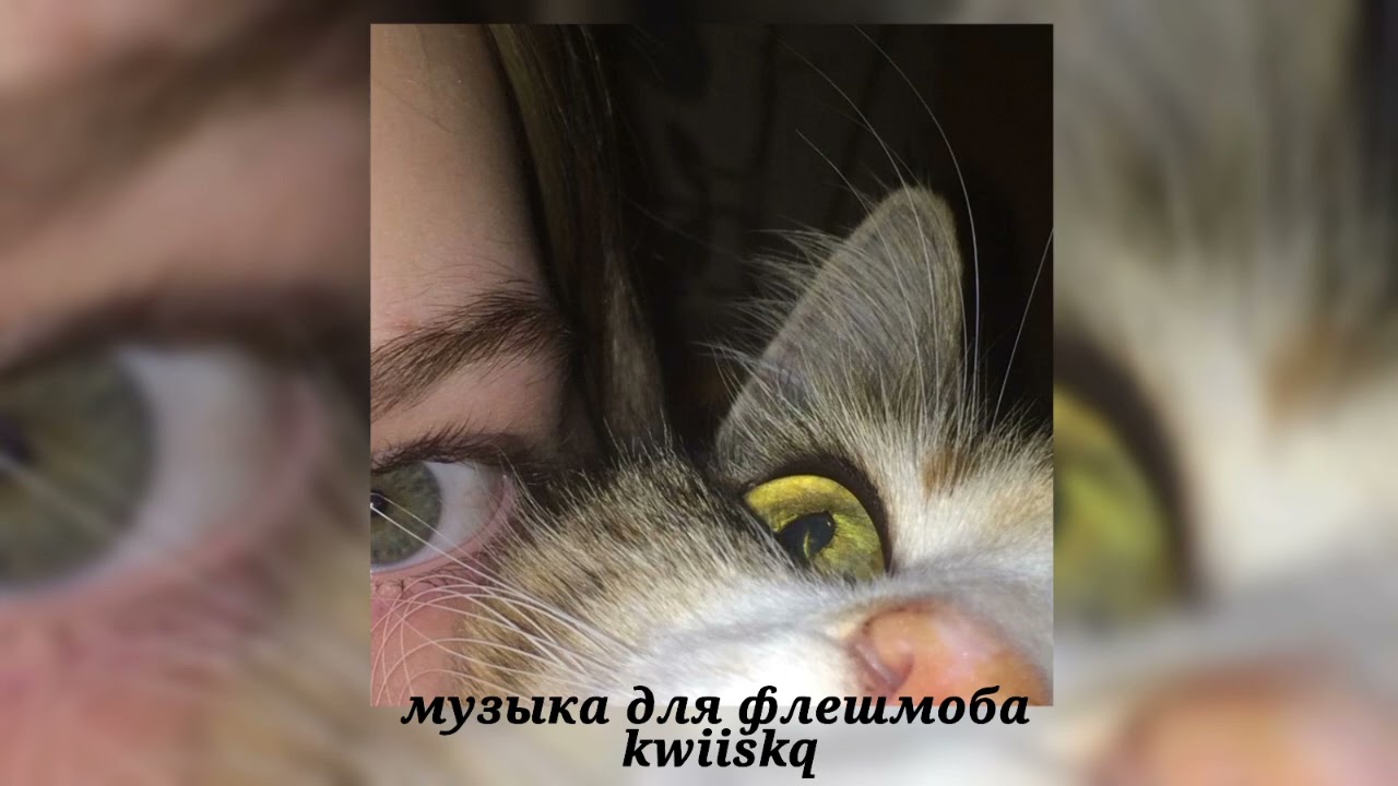 музыка для флешмоба ||speed up||⭐