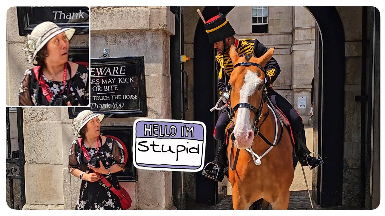 115 Times The Guard Ran Out of PATIENCE and Let Rip at Tourists!