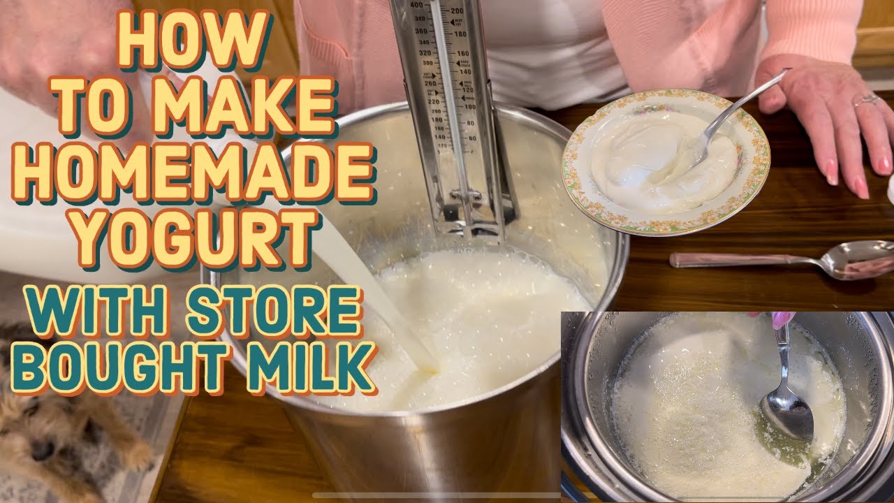 HOW TO MAKE YOGURT WITH STORE BOUGHT MILK - Castle Farms Homestead