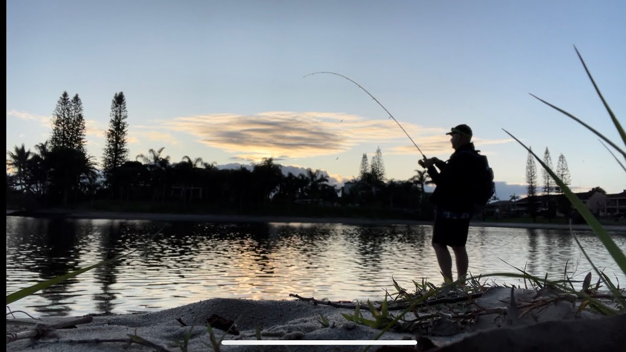 Gold Coast Fishing - Chasing Giant Trevally and Brassy Trevally.