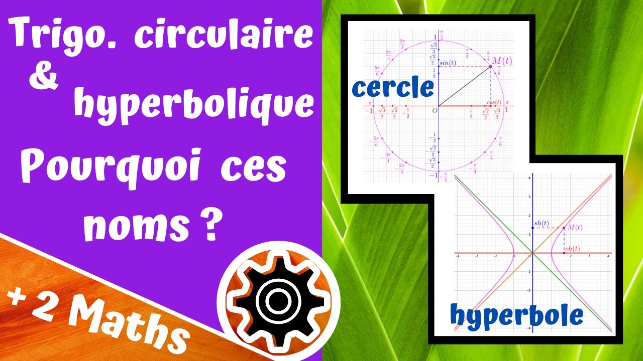 Trigo. circulaire et hyperbolique - Pourquoi ces noms ?