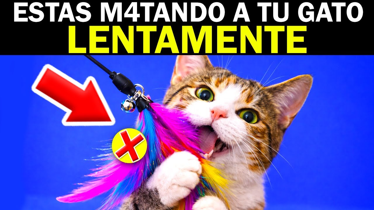 TOP 5 JUGUETES que estresan a tu GATO sin que lo notes (el 99% de los dueños los compra)