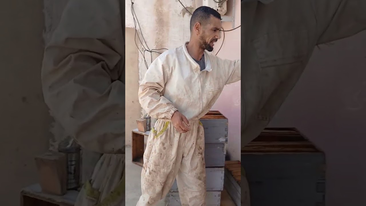 أفضل طريقة لإدارة الإطارات بعد عملية جني العسل